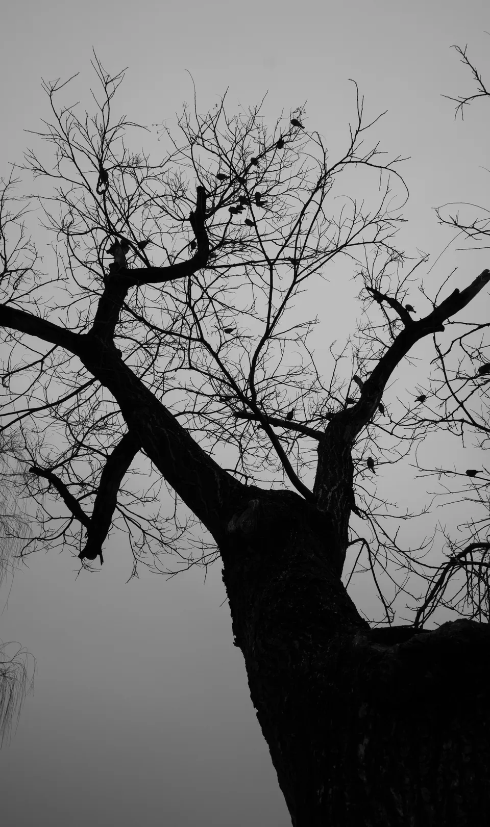 Photo 23, 2026-01-25